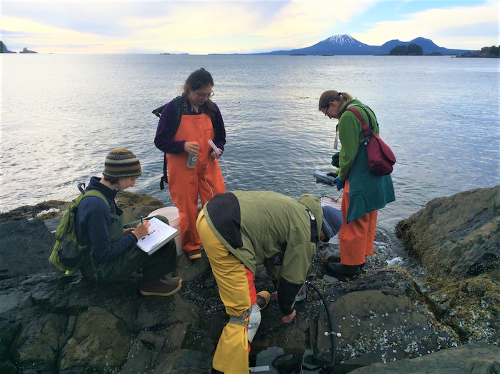 Researchers working on the Climate Change in the Intertidal project check salinity, temperature, pH, and dissolved oxygen of 20 tidepools during a monthly survey. Photo courtesy of the Sitka Sound Science Center.