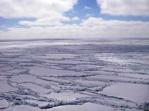 Fractured Sea Ice