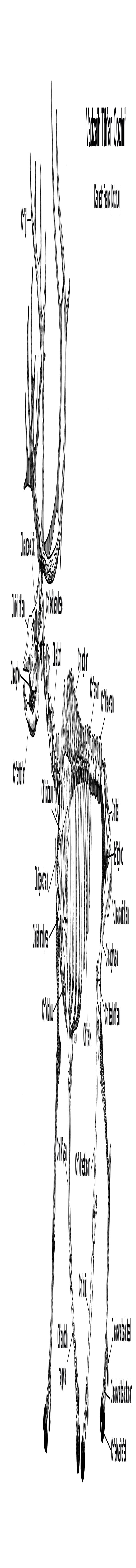 Caribou bone names in Gwich&#39;in, by Kenneth Frank. Sketch courtesy of Lee Post.