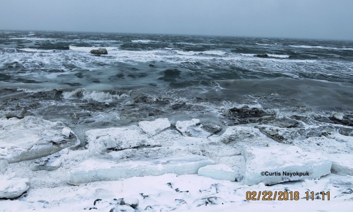 Figure 15: Open water at Shishmaref on 22 February 2018. Photo courtesy of Curtis Nayokpuk.