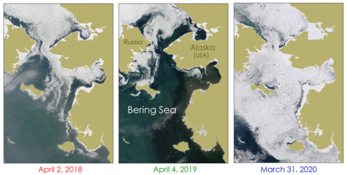 Figure 3. Sea ice in the Bering Sea during mostly cloud-free days in late-March to early April in 2018, 2019, and 2020 (left to right) observed using MODIS satellite imagery. (Source: Imagery obtained from NASA Worldview)