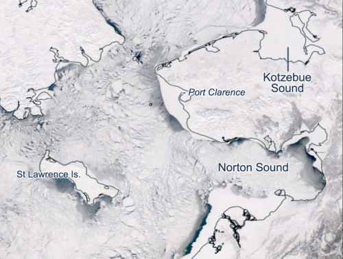 Figure 4. Sea ice in the Bering Sea on 29 March 2020 observed using MODIS satellite imagery. (Source: Imagery obtained from NASA Worldview)