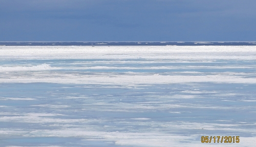 17 May 2015 - Shishmaref, photo courtesy of C. Nayokpuk