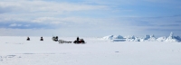 8 May 2014 - Hunters cross the sea ice outside of Shishmaref.