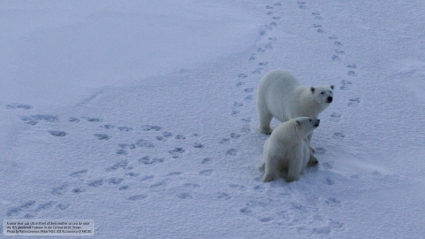 Photo by Katie Gavenus (PolarTREC 2019), Courtesy of ARCUS.