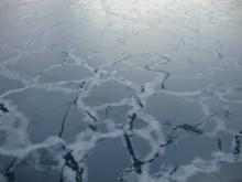 Thin sea ice forming in Chukchi Sea. Aboard the USCGC Healy icebreaker. Photo by Chantelle Rose (PolarTREC 2011)