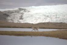 The Future of Russia in the Arctic. Photo: Robert Gill, Dartmouth.